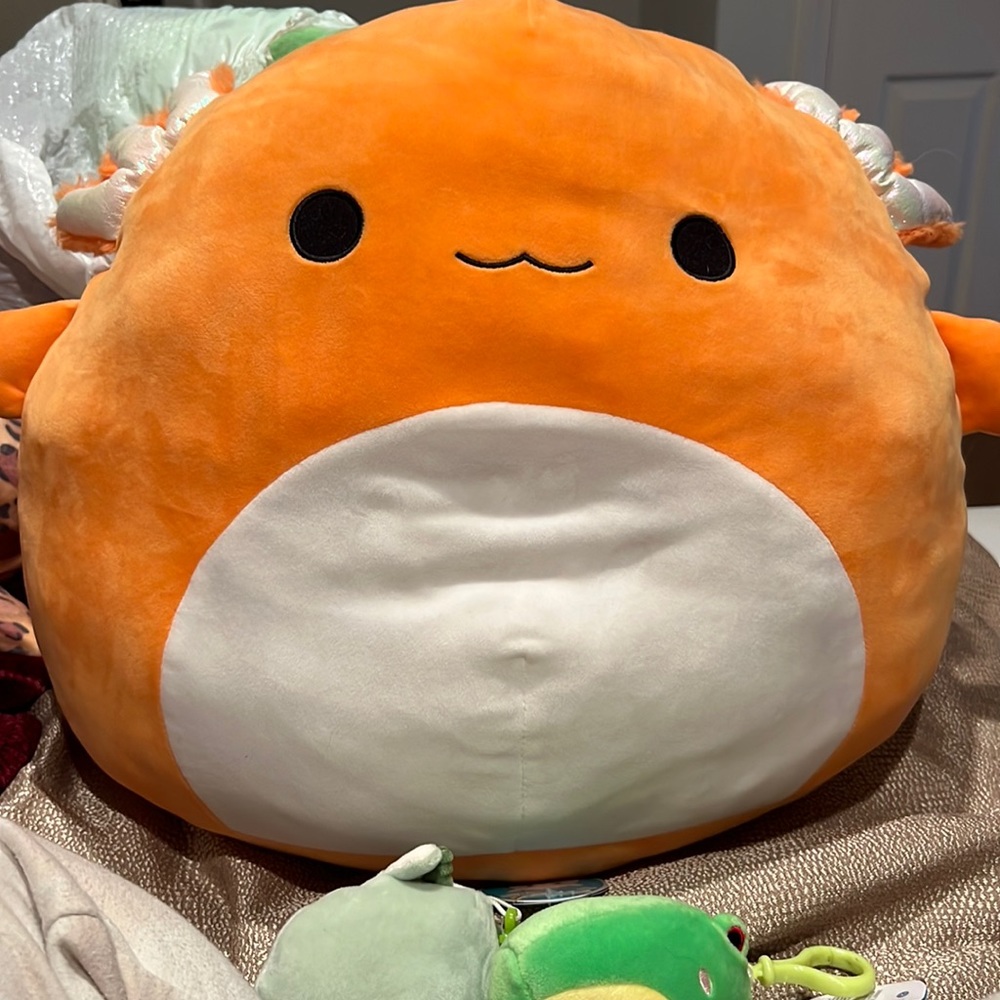 Nico the axolotl
